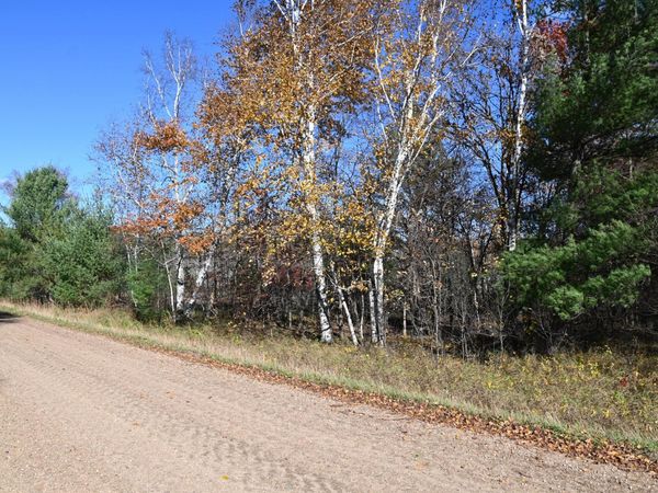 TBD Pacer Loop , Browerville, MN 56438