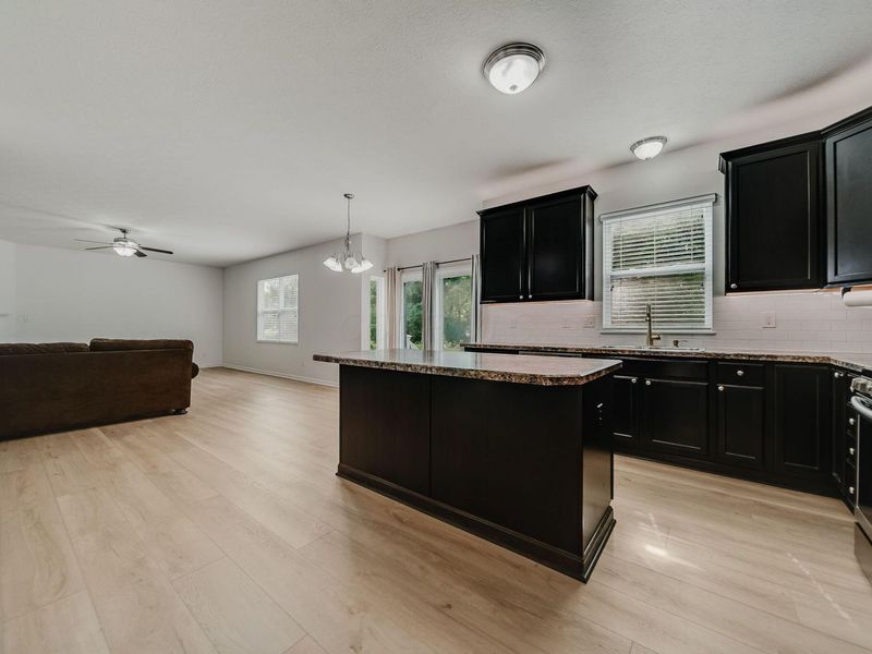 80 Crystal Petal Drive, Delaware, OH 43015 Photo 11