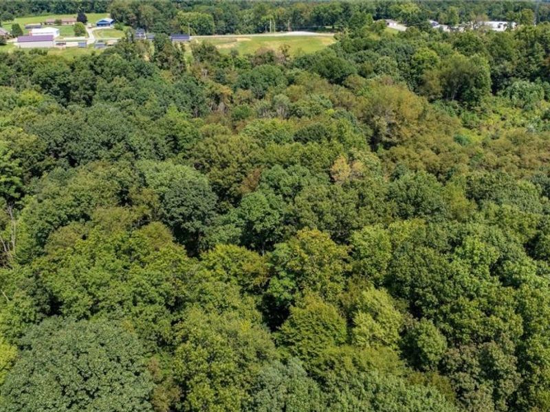 2220 Adamsville Road, Zanesville, OH 43701 Photo 17