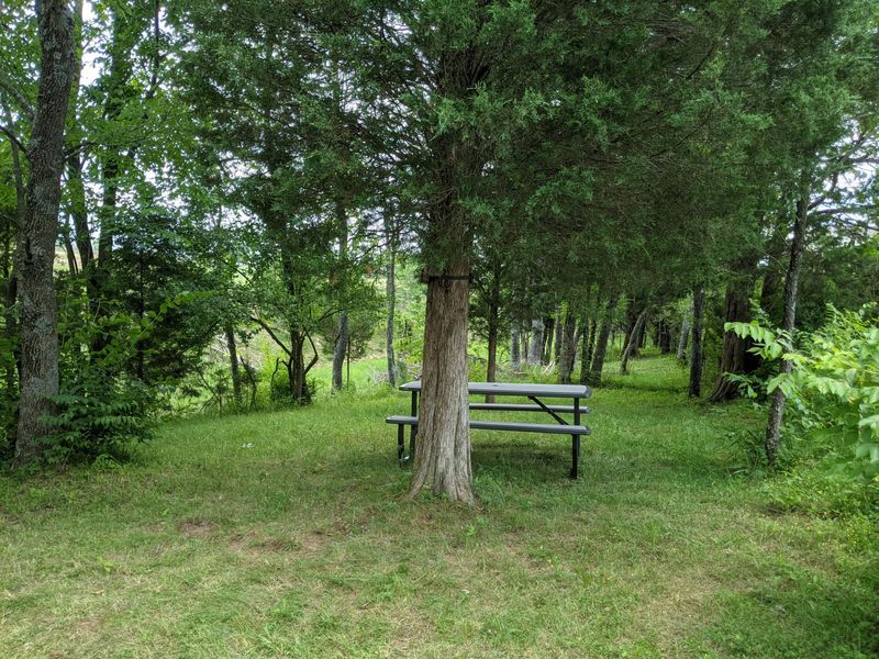 9350 Westfield Lane, Union, KY 41091 Photo 38