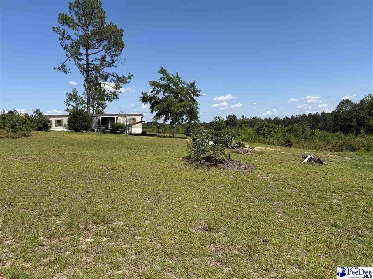 518 Singletree Rd Photo 3