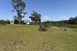518 Singletree Rd photo 4
