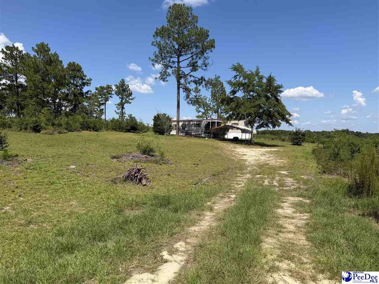 518 Singletree Rd Photo 4