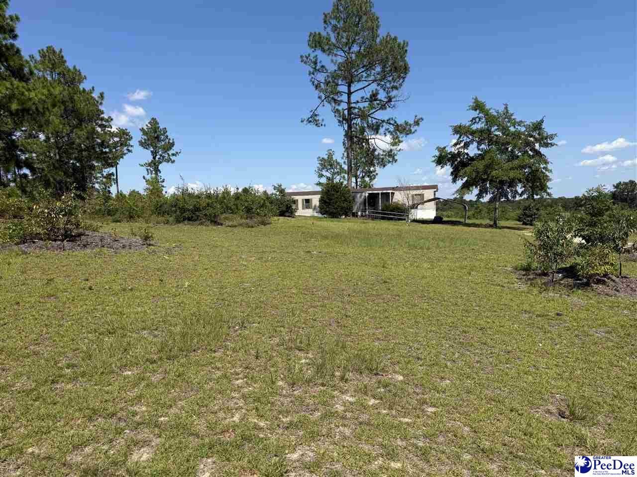 518 Singletree Rd Photo 5