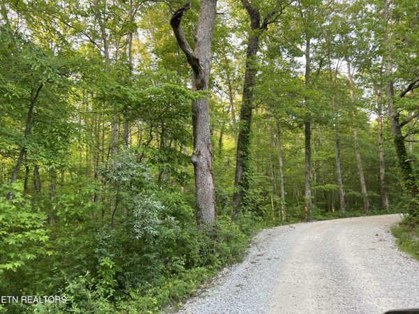 Carson Town Rd, Sunbright, TN 37872