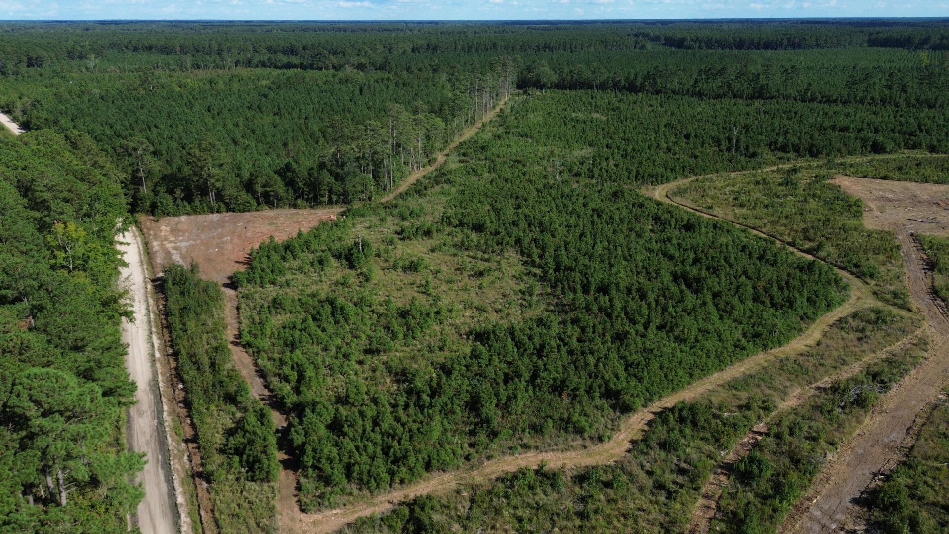 3 Bethel Forest Road Photo 1