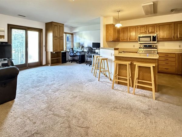 401 SE Delaware Avenue , Unit 205, Ankeny, IA 50021
