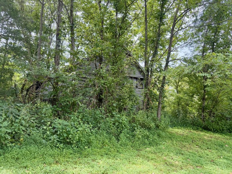 669 Wellsburg Walcott Road, Brooksville, KY 41004 Photo 16