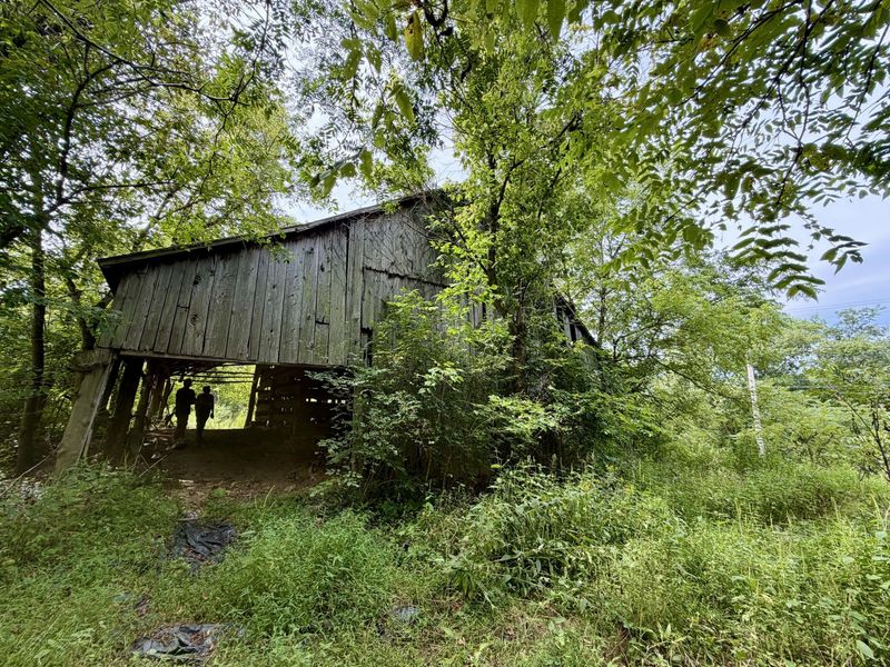 669 Wellsburg Walcott Road, Brooksville, KY 41004 Photo 17