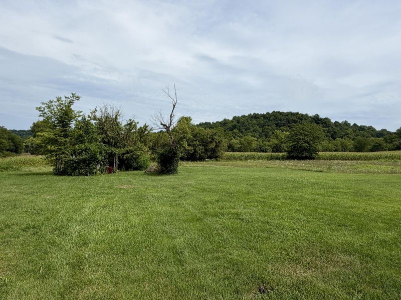 669 Wellsburg Walcott Road, Brooksville, KY 41004 Photo 20