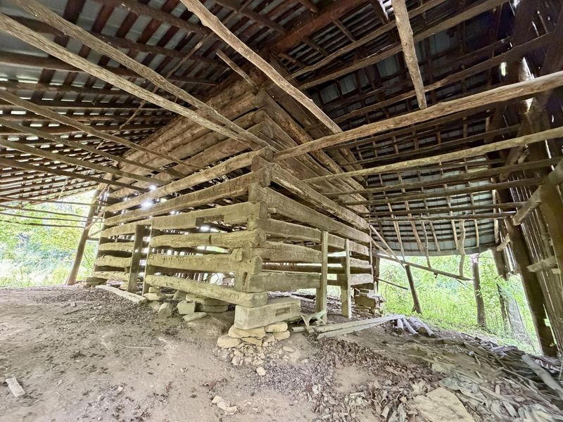 669 Wellsburg Walcott Road, Brooksville, KY 41004 Photo 26