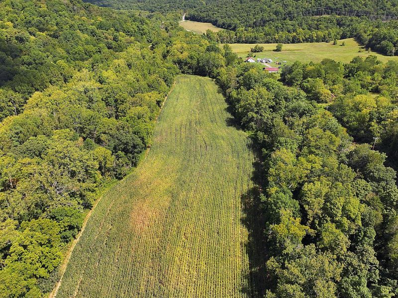 669 Wellsburg Walcott Road, Brooksville, KY 41004 Photo 28