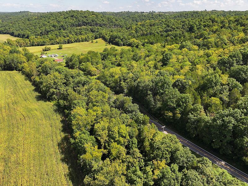 669 Wellsburg Walcott Road, Brooksville, KY 41004 Photo 29