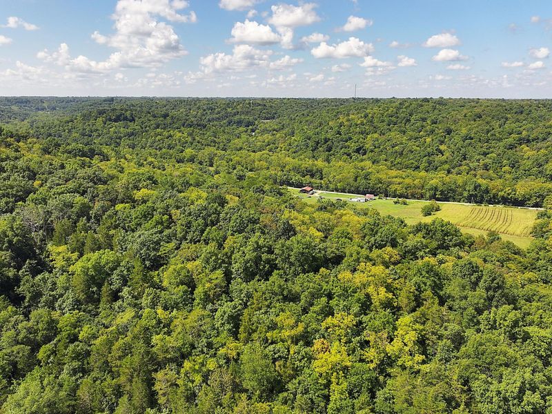 669 Wellsburg Walcott Road, Brooksville, KY 41004 Photo 30