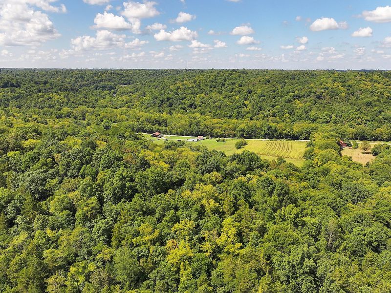 669 Wellsburg Walcott Road, Brooksville, KY 41004 Photo 31