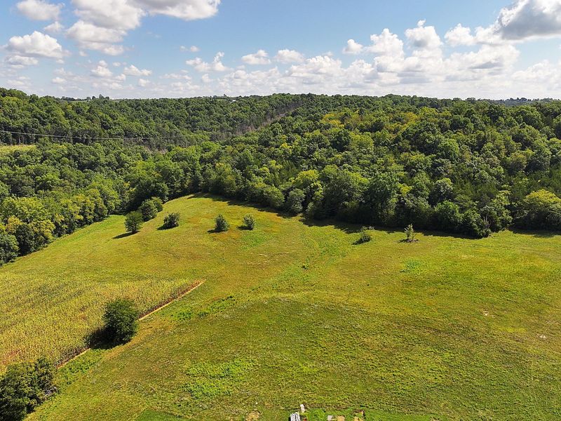 669 Wellsburg Walcott Road, Brooksville, KY 41004 Photo 33