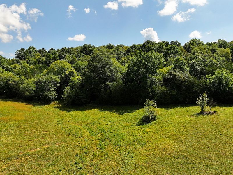 669 Wellsburg Walcott Road, Brooksville, KY 41004 Photo 36