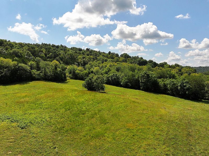 669 Wellsburg Walcott Road, Brooksville, KY 41004 Photo 37