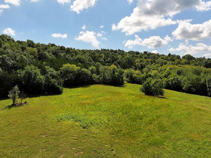 669 Wellsburg Walcott Road, Brooksville, KY 41004 Photo 39