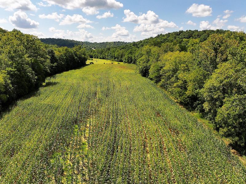 669 Wellsburg Walcott Road, Brooksville, KY 41004 Photo 40