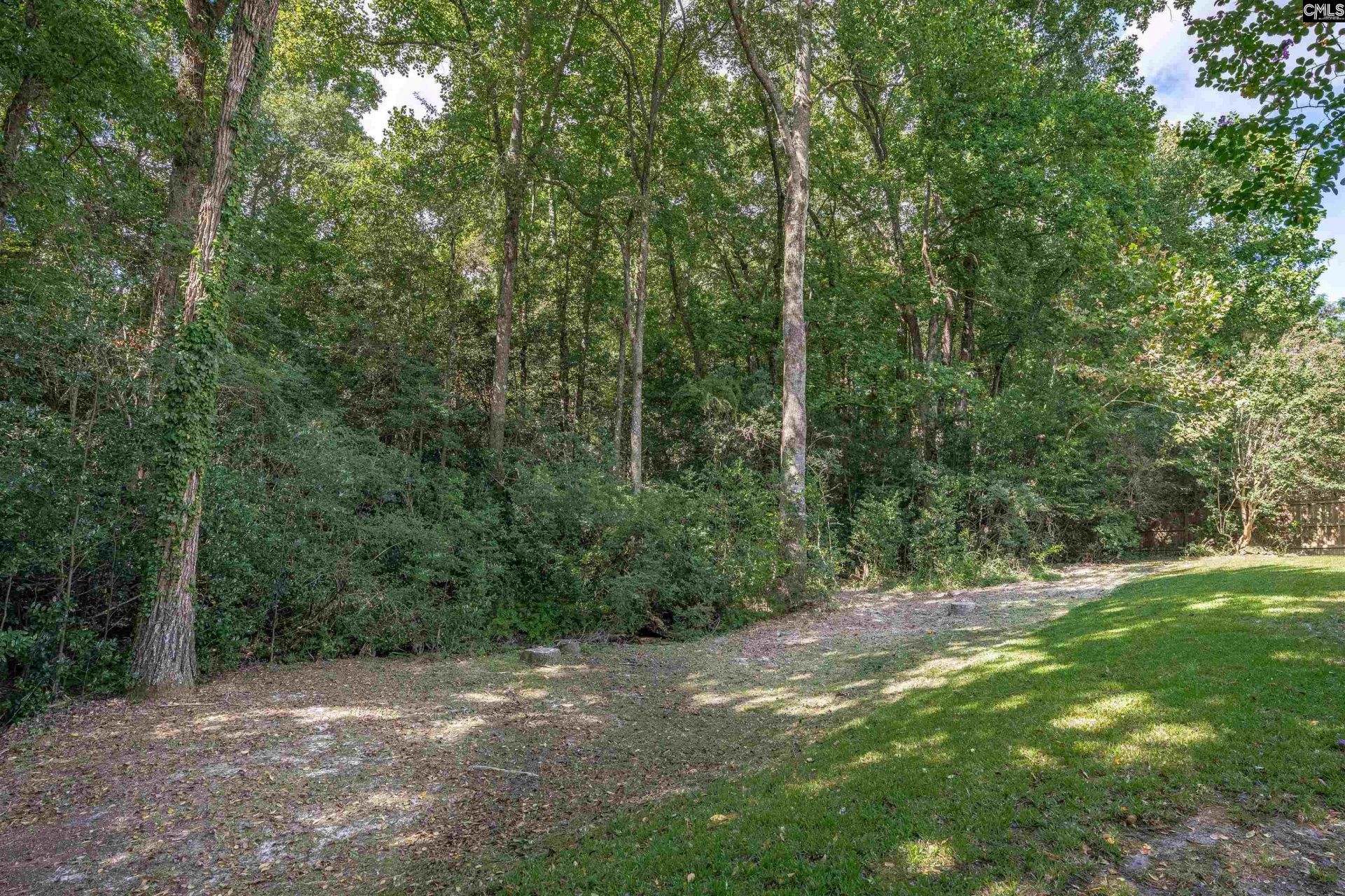 348 Blossom View Court  Photo 43