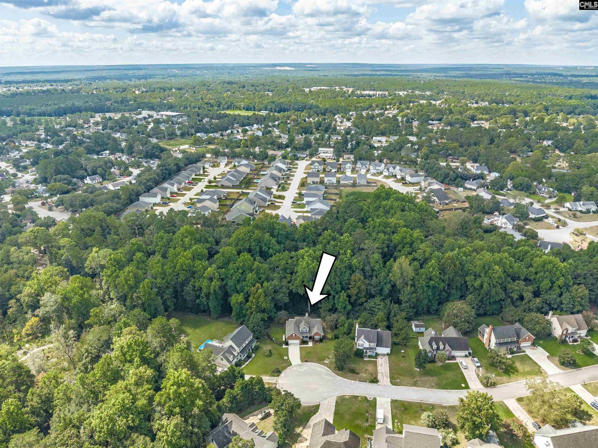 348 Blossom View Court  Photo 47