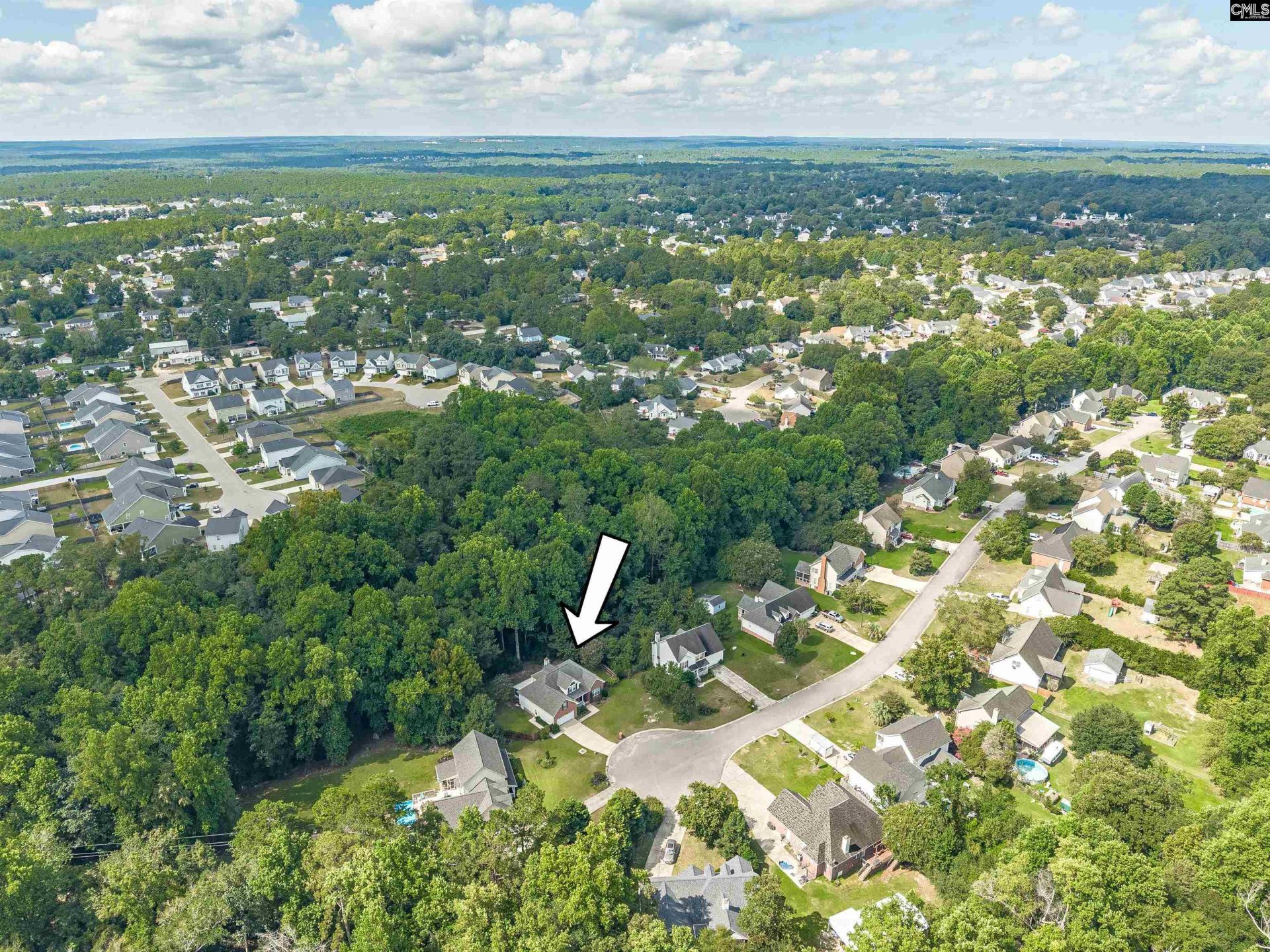 348 Blossom View Court  Photo 48