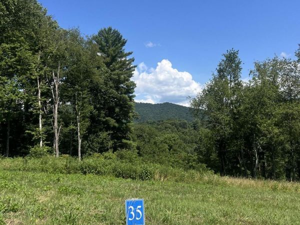 35 Cowan Town Road, Unit 35, Butler, TN 37640