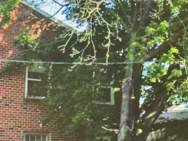 233 B 2ND FL ROESCH AVENUE , Unit B, ORELAND, PA 19075