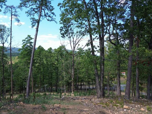 TBD Magnolia & 2nd St , Mena, AR 71953