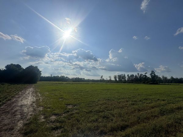 Highway 19 , Nichols, SC 29581
