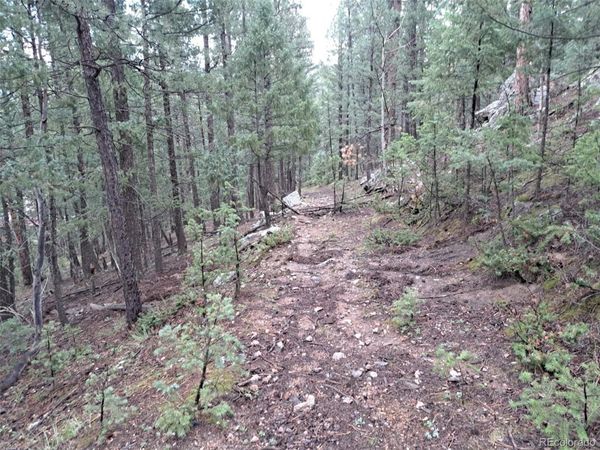 360 Hi Meadow Drive , Bailey, CO 80421