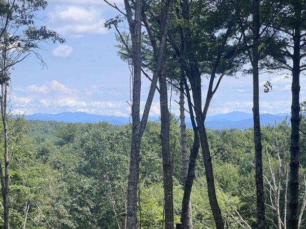 Lot 7 Austin Mountain Road, Mineral Bluff, GA 30559
