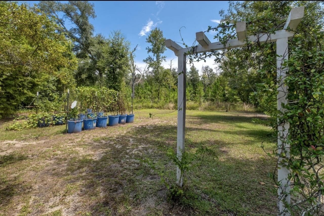 8690 S Us Highway 19, Perry, FL 32348 Photo
