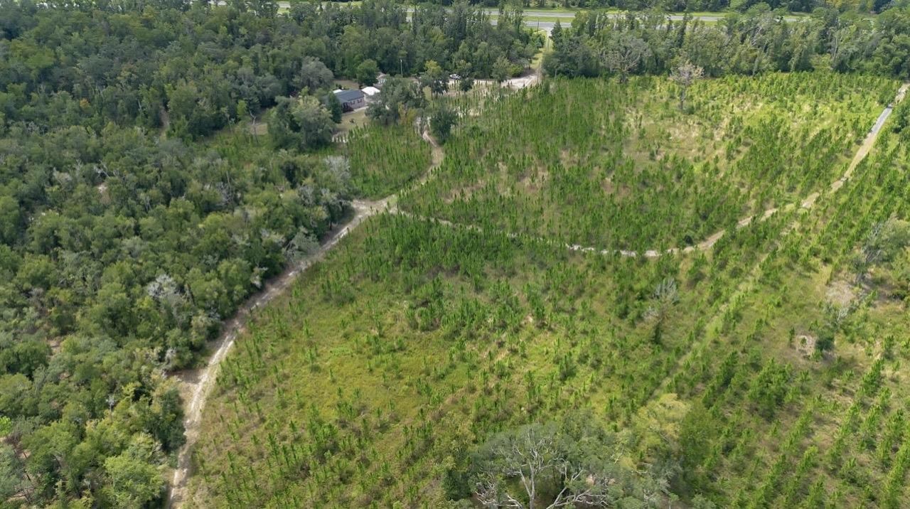 8690 S Us Highway 19, Perry, FL 32348 Photo