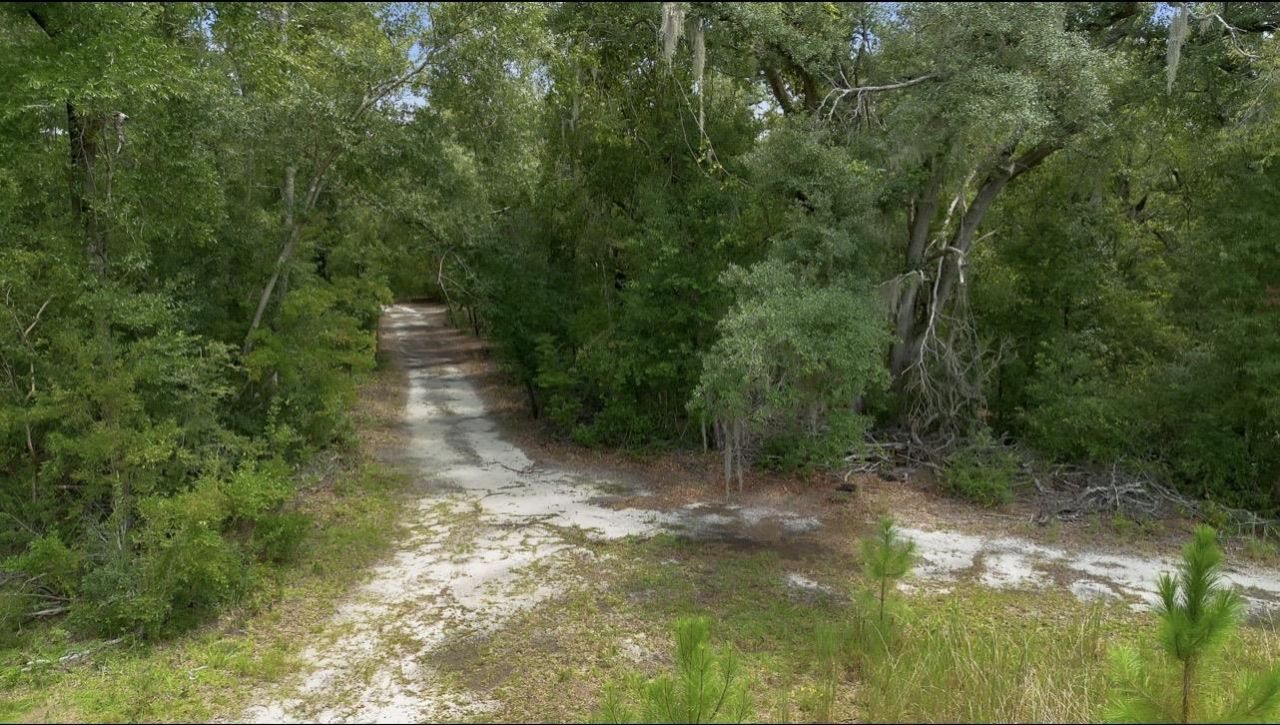 8690 S Us Highway 19, Perry, FL 32348 Photo