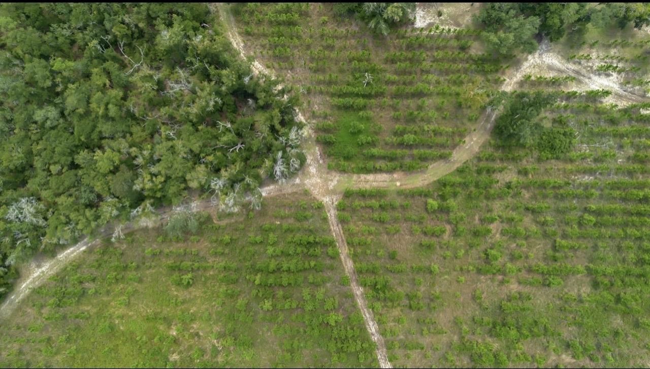 8690 S Us Highway 19, Perry, FL 32348 Photo
