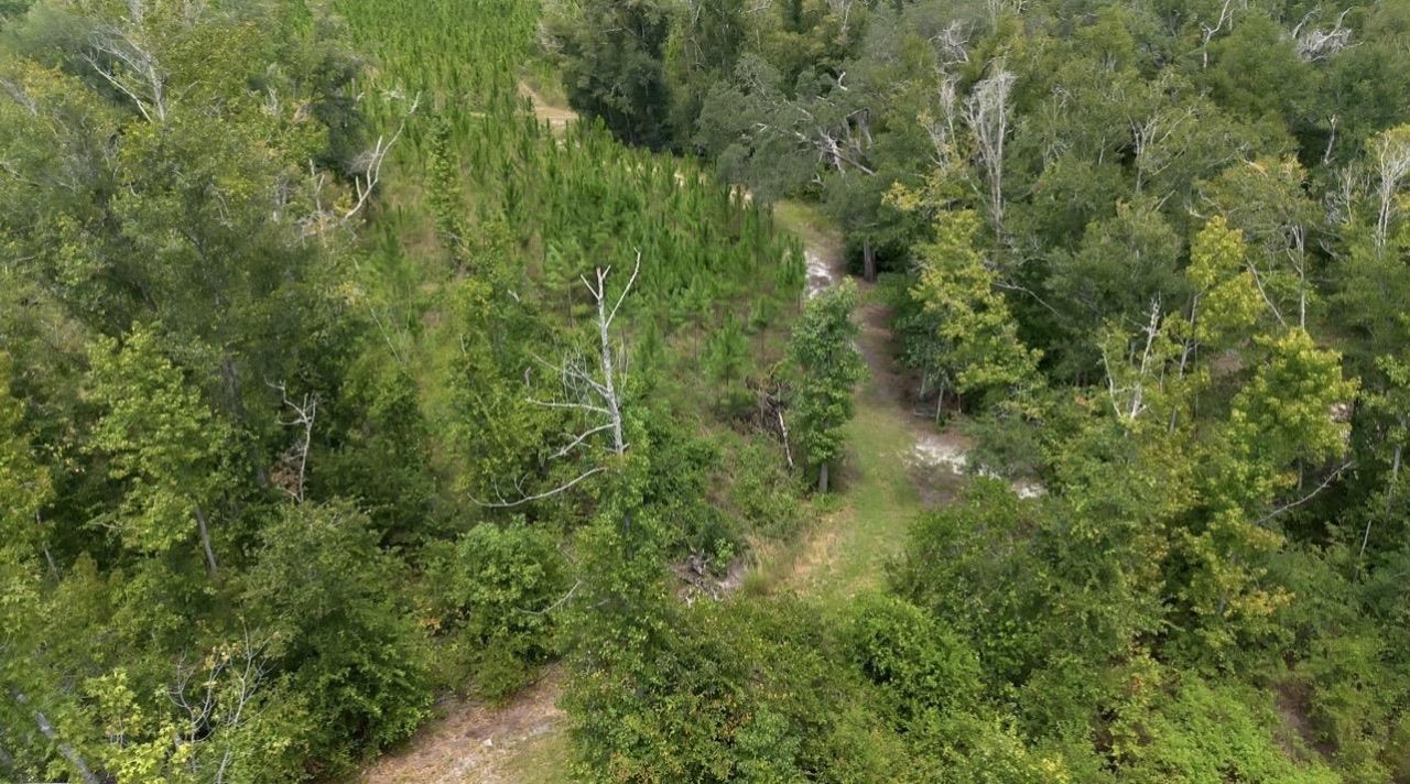 8690 S Us Highway 19, Perry, FL 32348 Photo