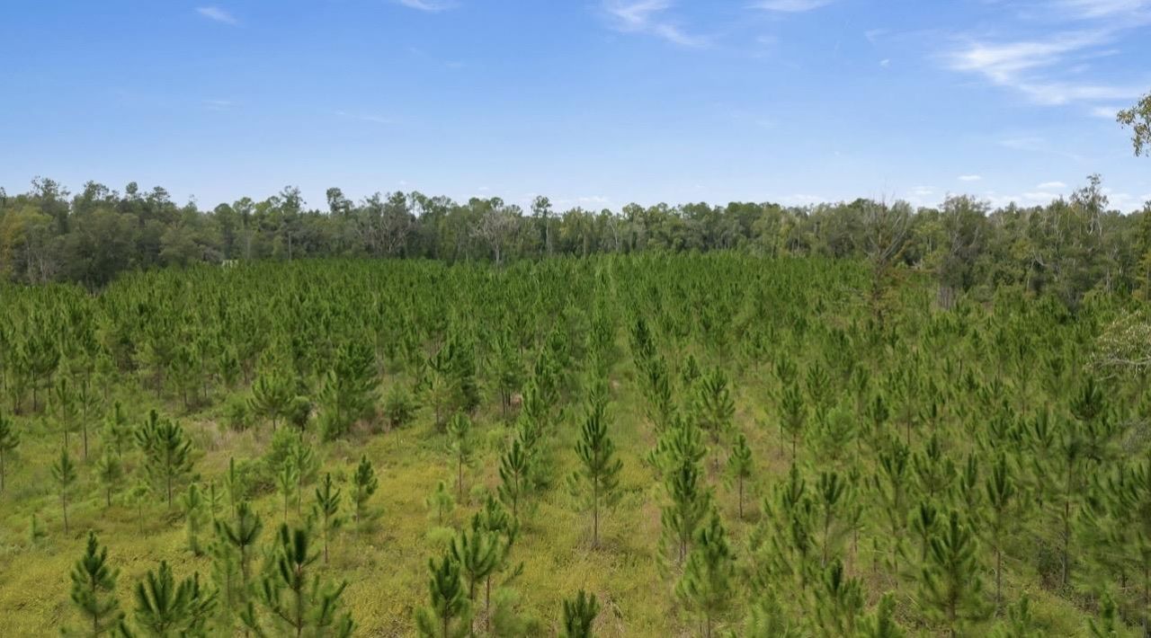 8690 S Us Highway 19, Perry, FL 32348 Photo