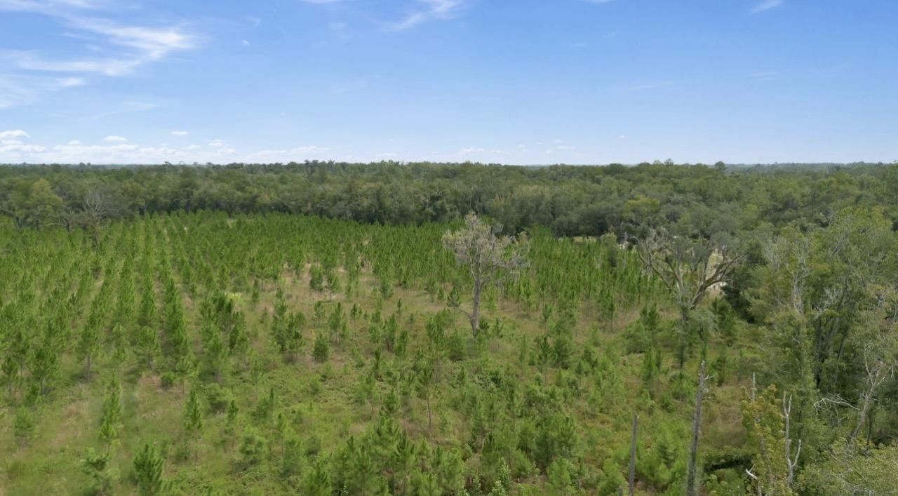 8690 S Us Highway 19, Perry, FL 32348 Photo