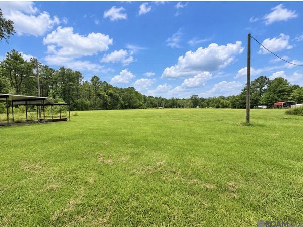 38235 N Walker Rd, Walker, LA 70785