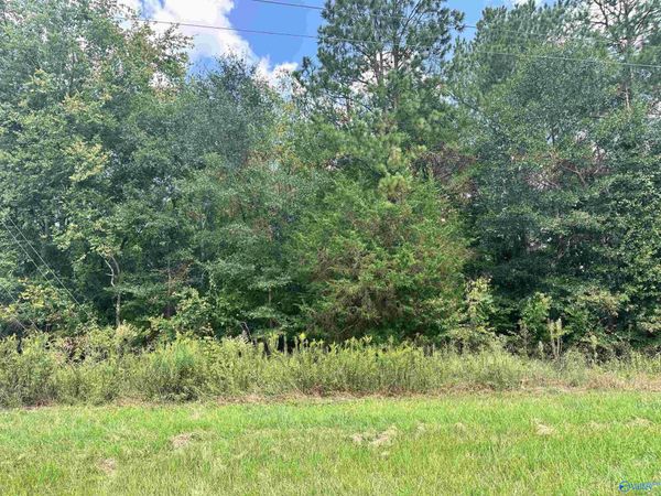 2.6 acres Hwy 35, Rainsville, AL 35986