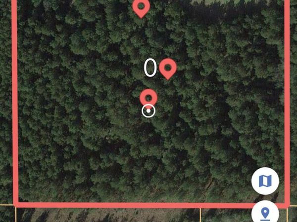 00 Pittman Rd., Mount Olive, MS 39119