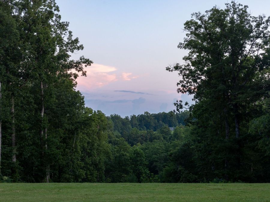 Property Image 100