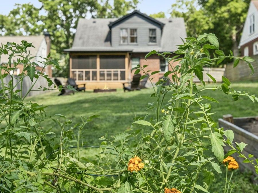 Property Image 54