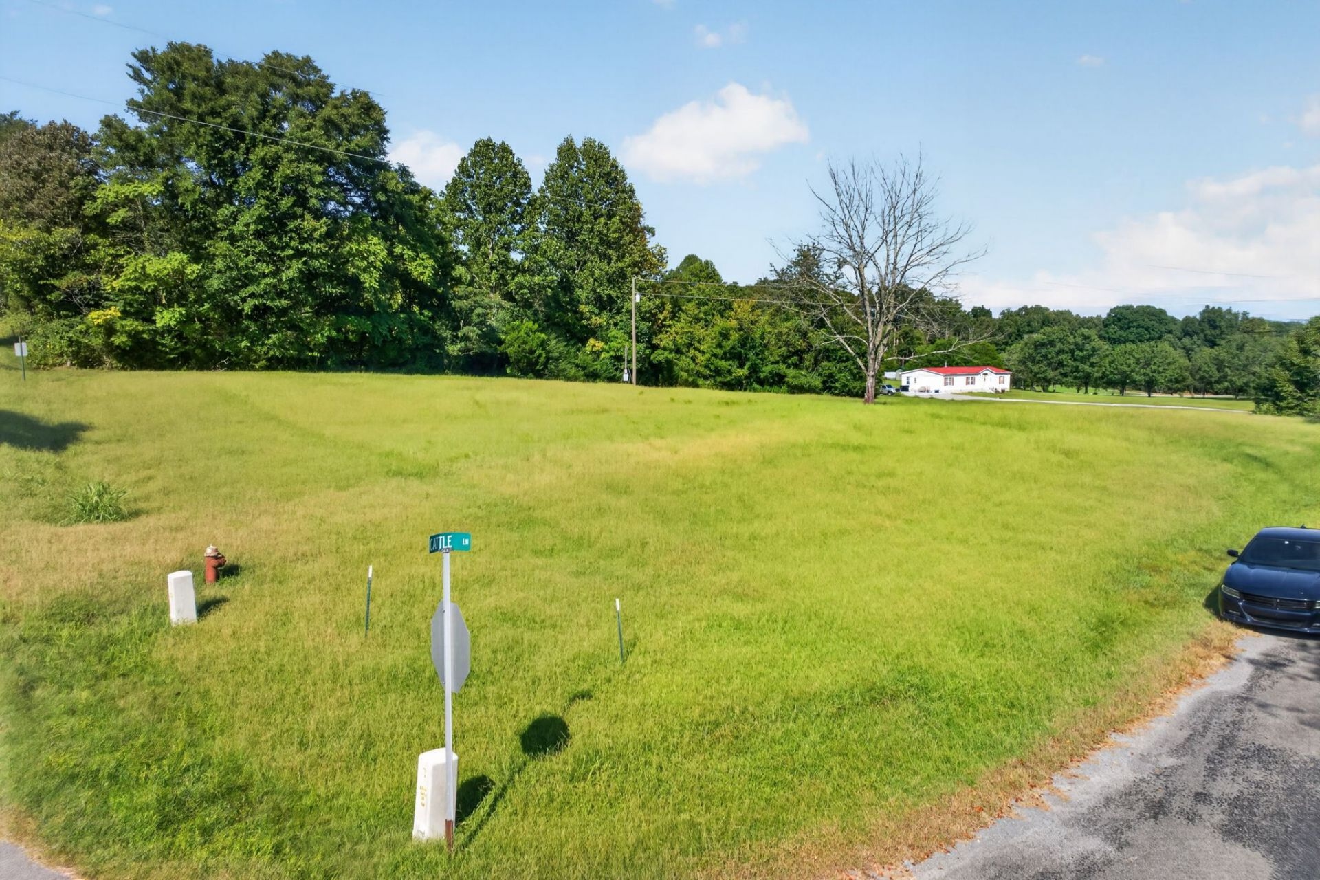 119 Cattle Ln, Hilham, TN 38568 Main Photo