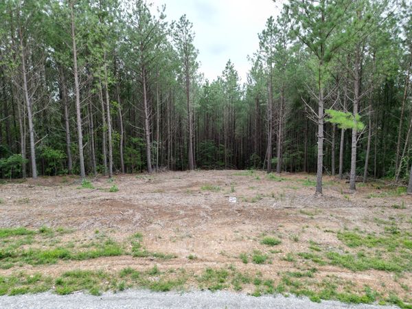 297 Ashwood Dr , Unit 251, Linden, TN 37096