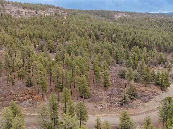199 Starling Circle, Pagosa Springs, CO 81147