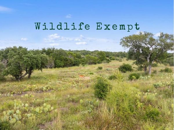 TBD W RR 962, Round Mountain, TX 78663