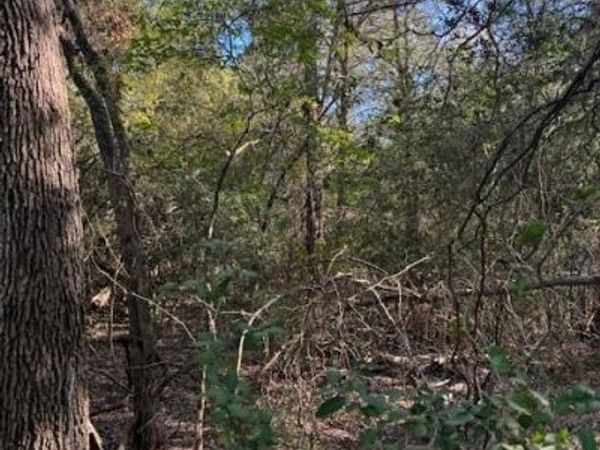 125 Helemano DR, Bastrop, TX 78602